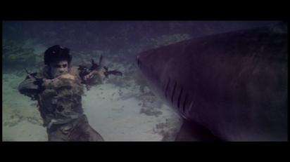 zombie vs shark gif