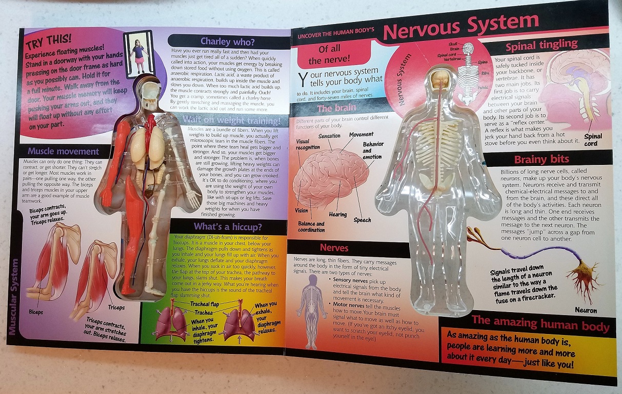 EureKids! -- 'Uncover the Human Body'