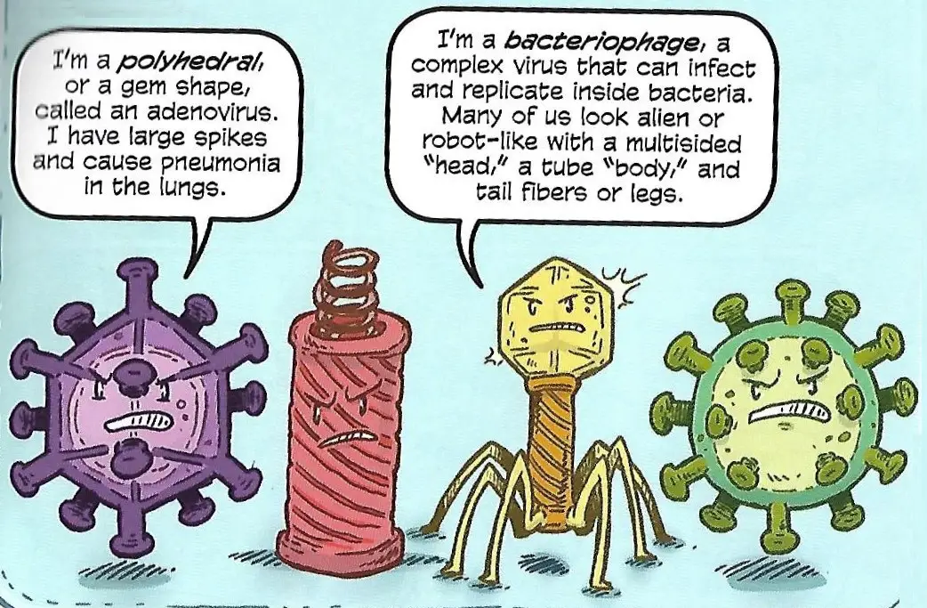 EureKids! -- 'Science Comics: Plagues'