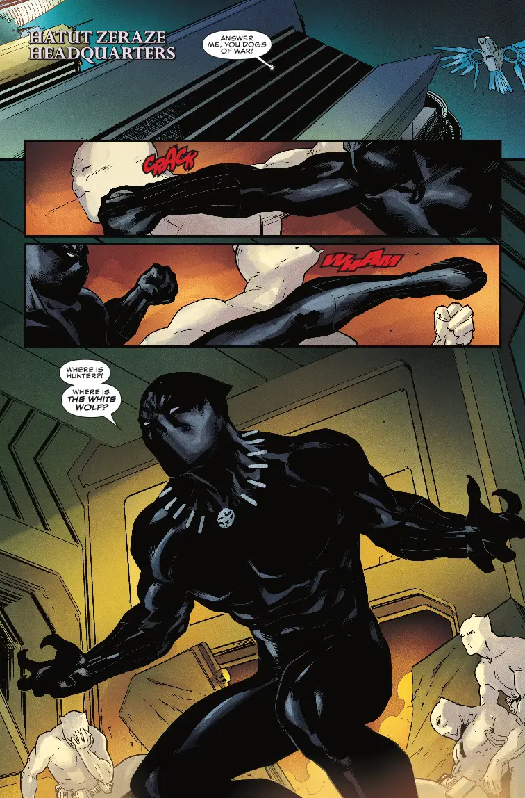 Rise of the Black Panther #5 Review