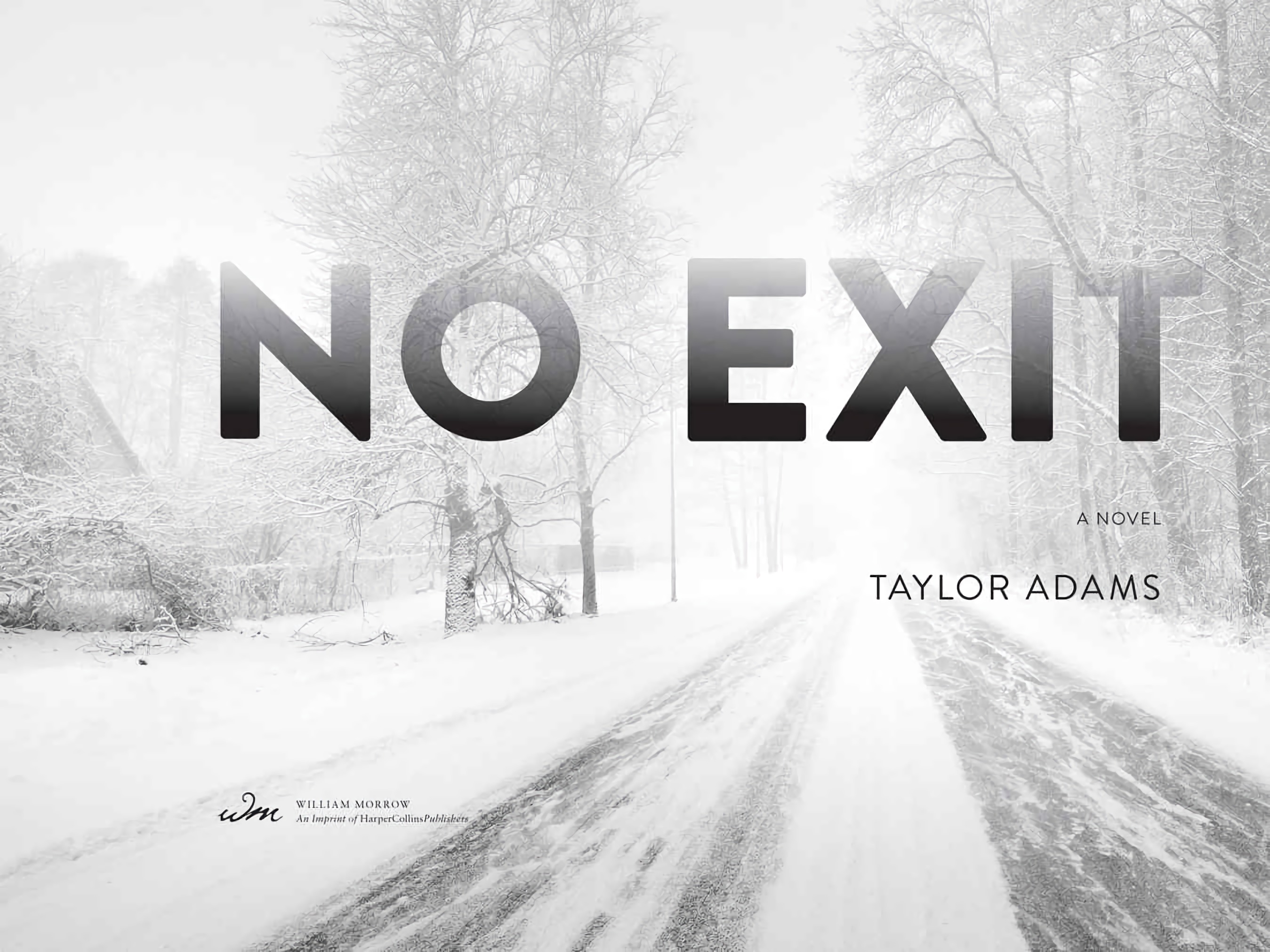 'No Exit' by Taylor Adams Review