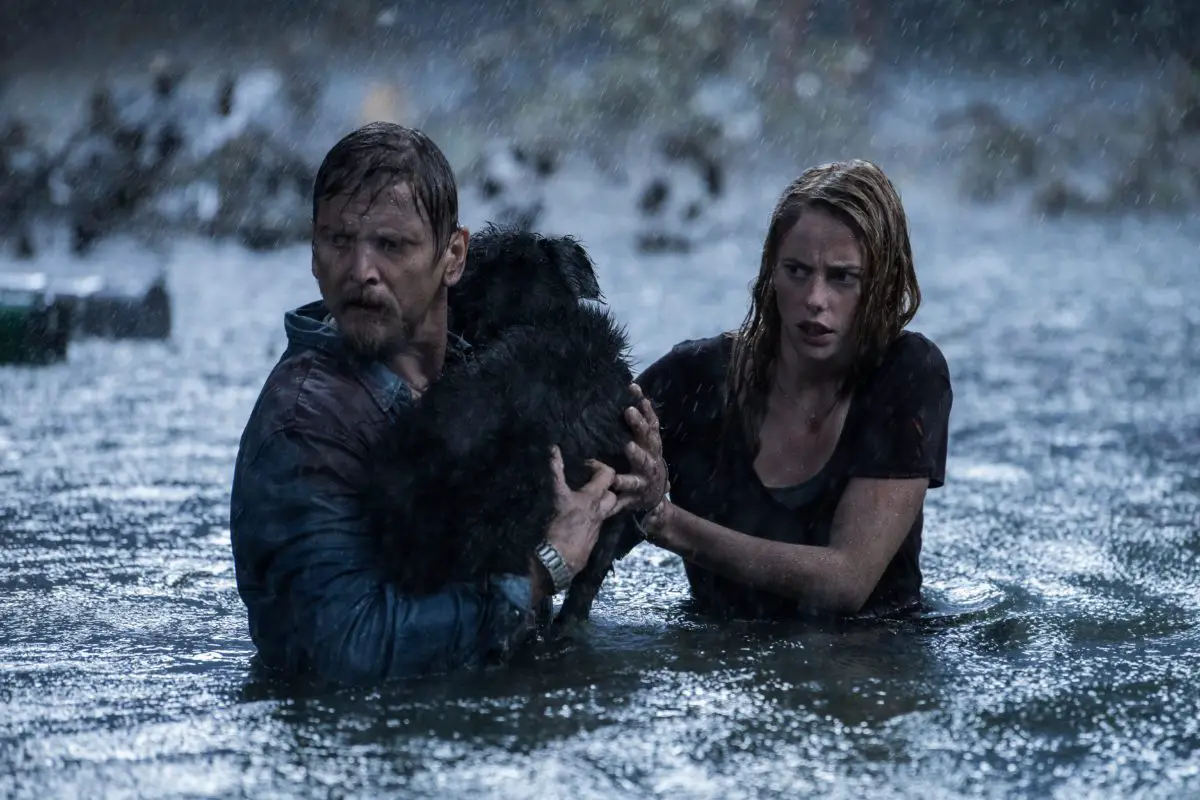 'Crawl' review: Thrilling at times, but also feels very average