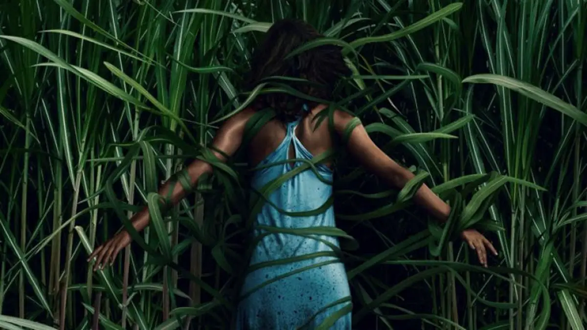 Fantastic Fest: In the Tall Grass Review: A trippy horror movie that delves deep