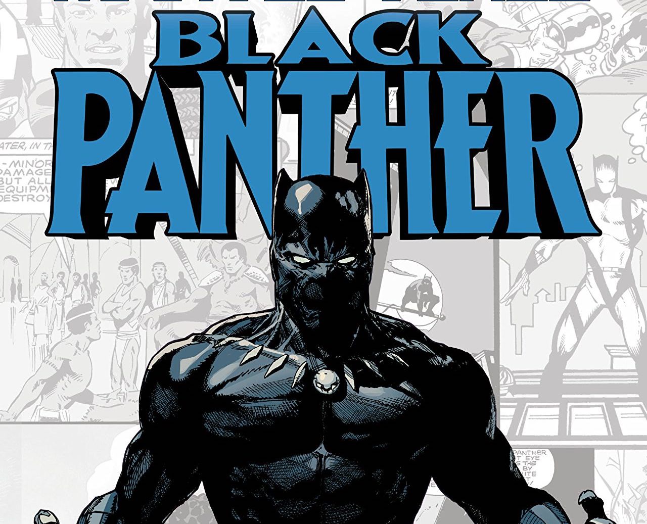 Marvel-Verse: Black Panther TPB Review