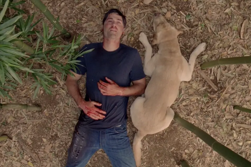10 years after the 'LOST' finale – getting the appreciation it deserves