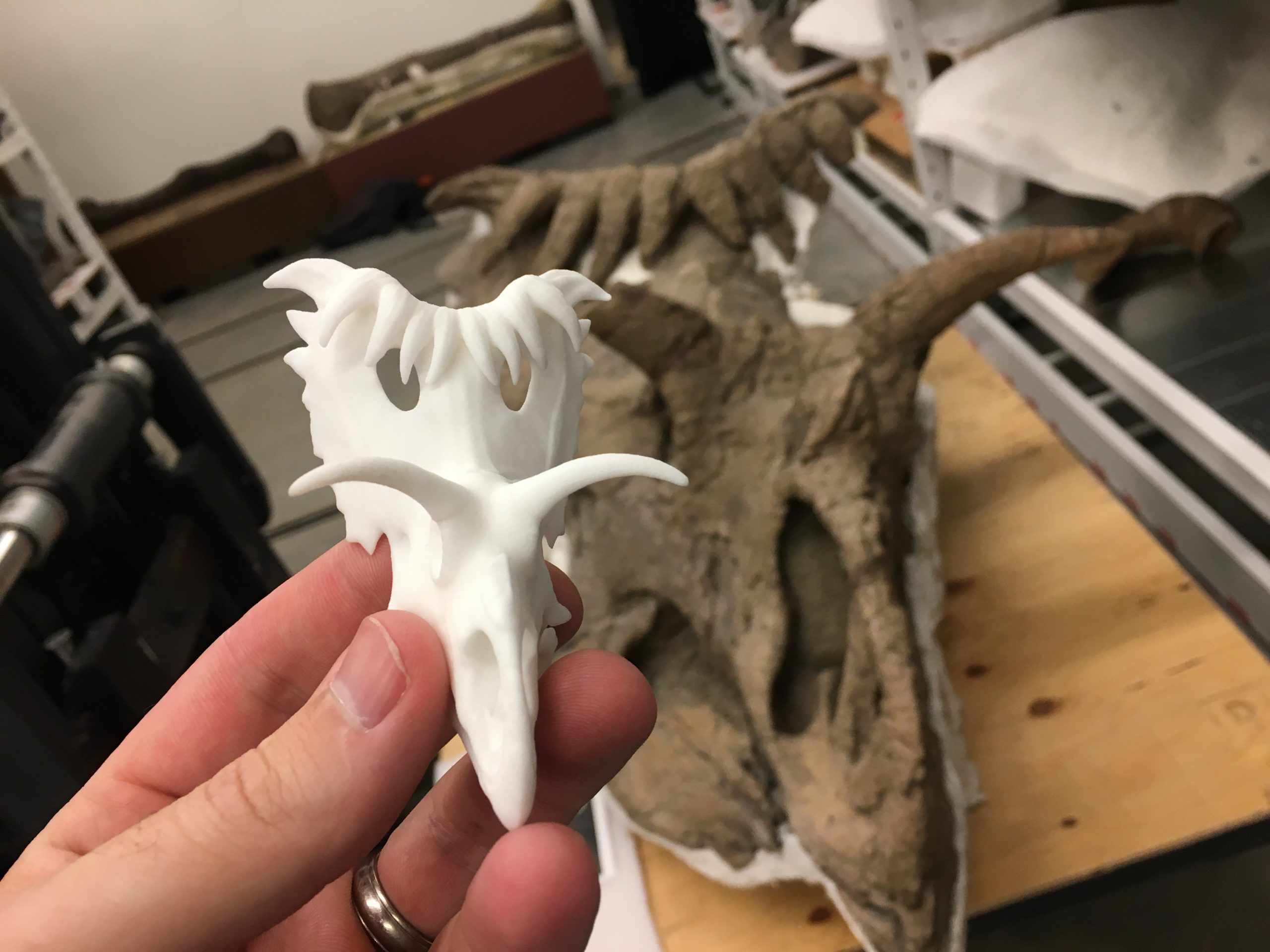 Creative Beast 3D-printed ceratopsian skulls -- a scientific review