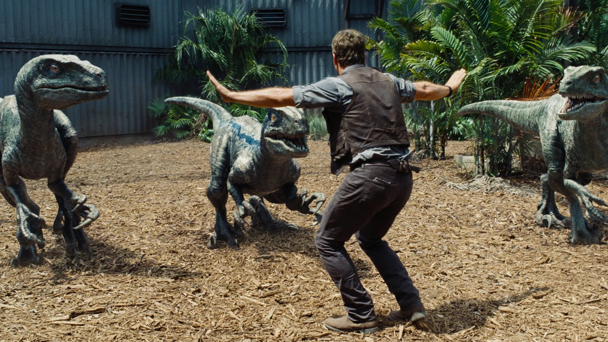 Reality Check: Did raptors hunt in packs, like in 'Jurassic Park'?