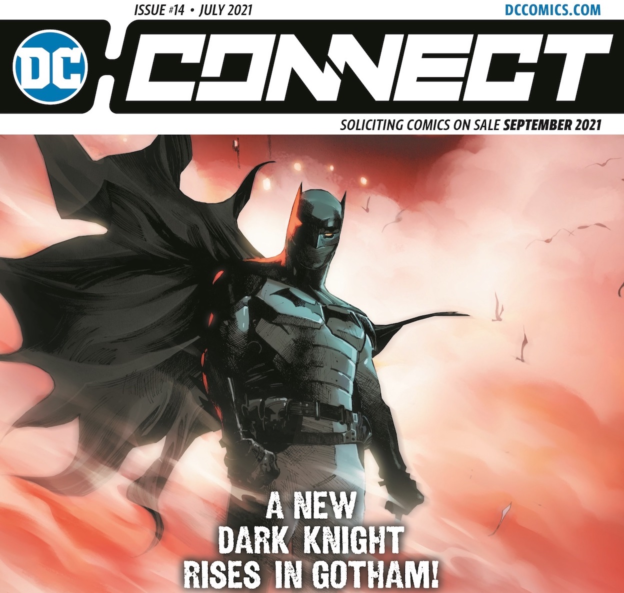 DC Comics sends 'DC Connect' to comic shops