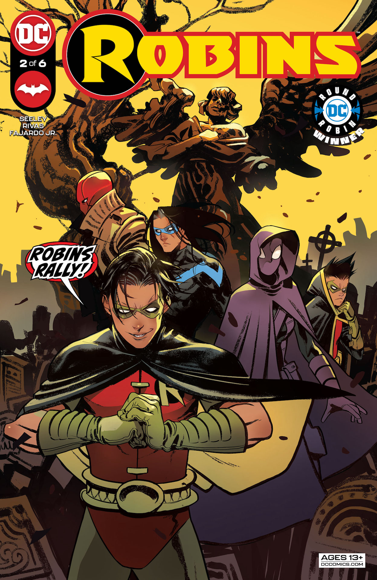 DC Preview: Robins #2