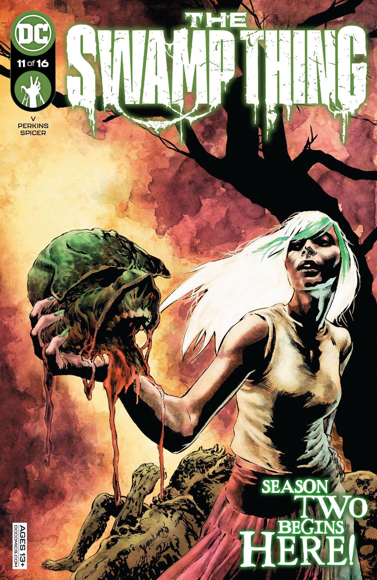 DC Preview: The Swamp Thing #11