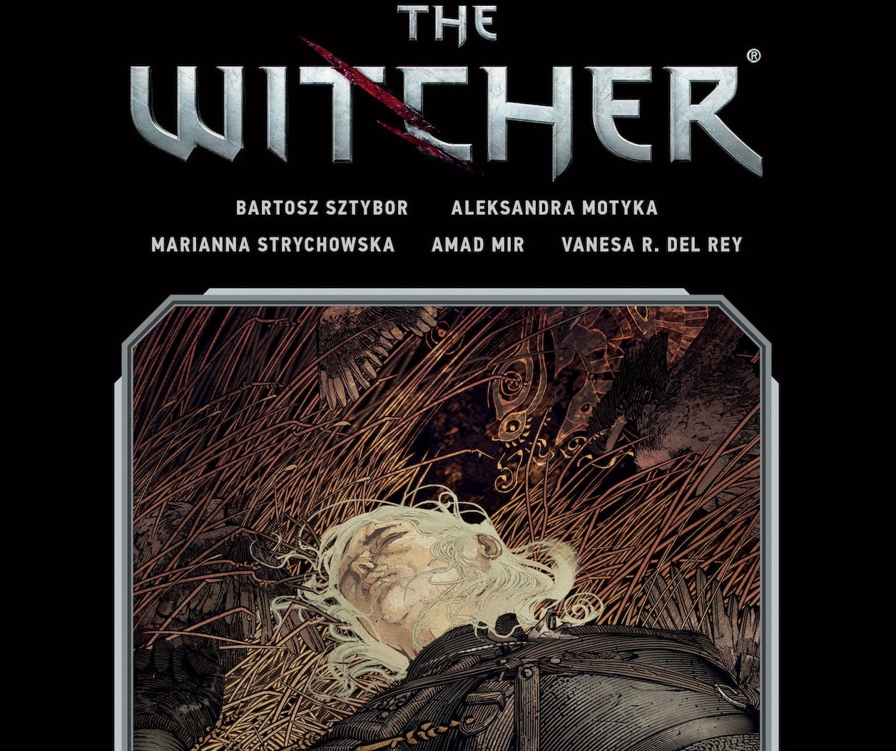 'The Witcher Library Edition Volume 2' hardcover coming in August