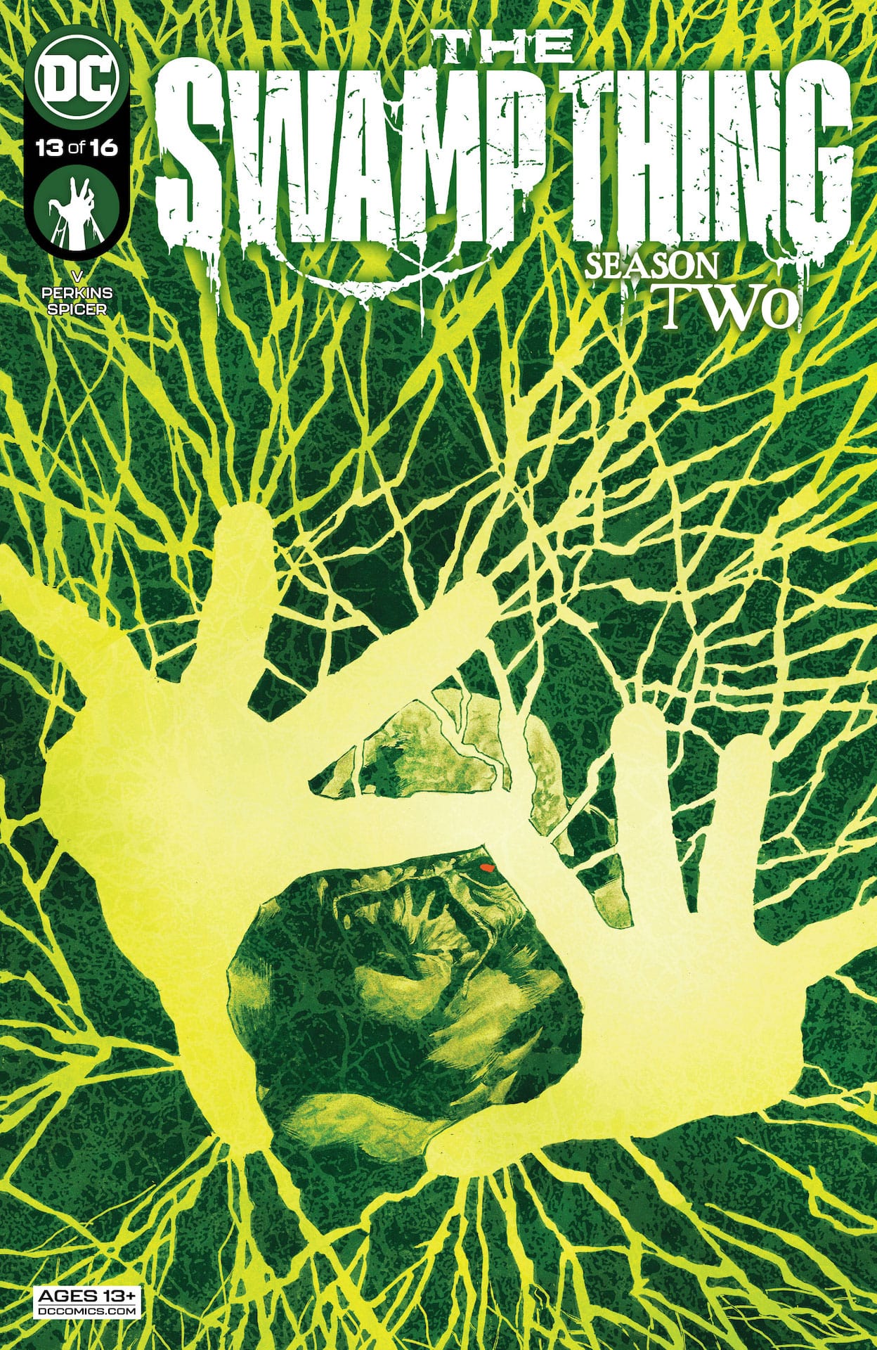 DC Preview: The Swamp Thing #13