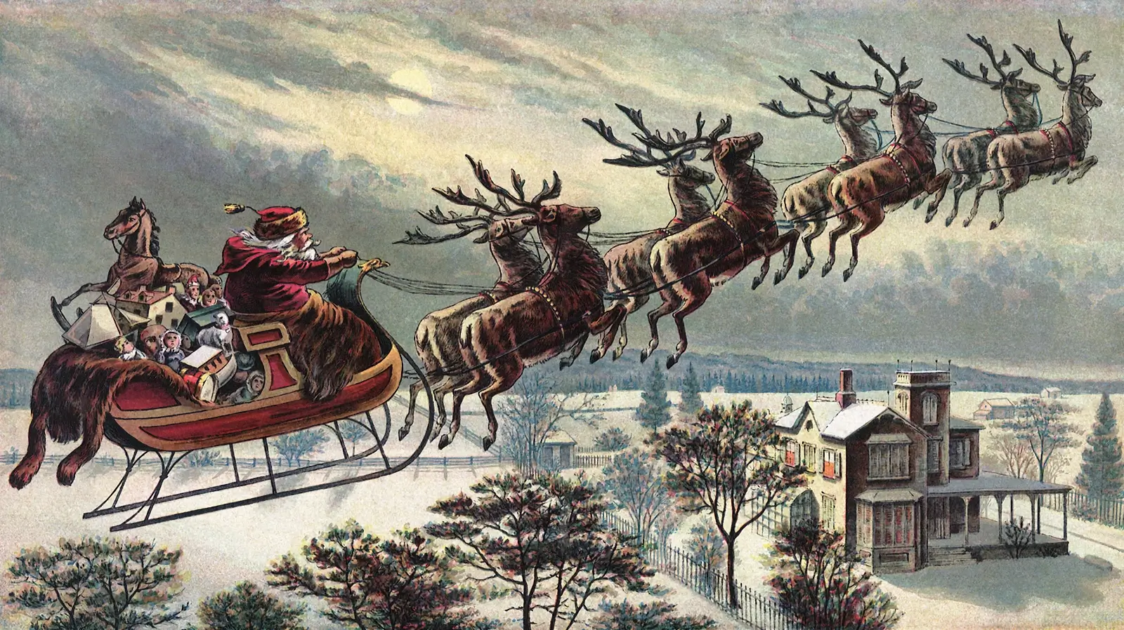 Santa's reindeer and psychedelic urine