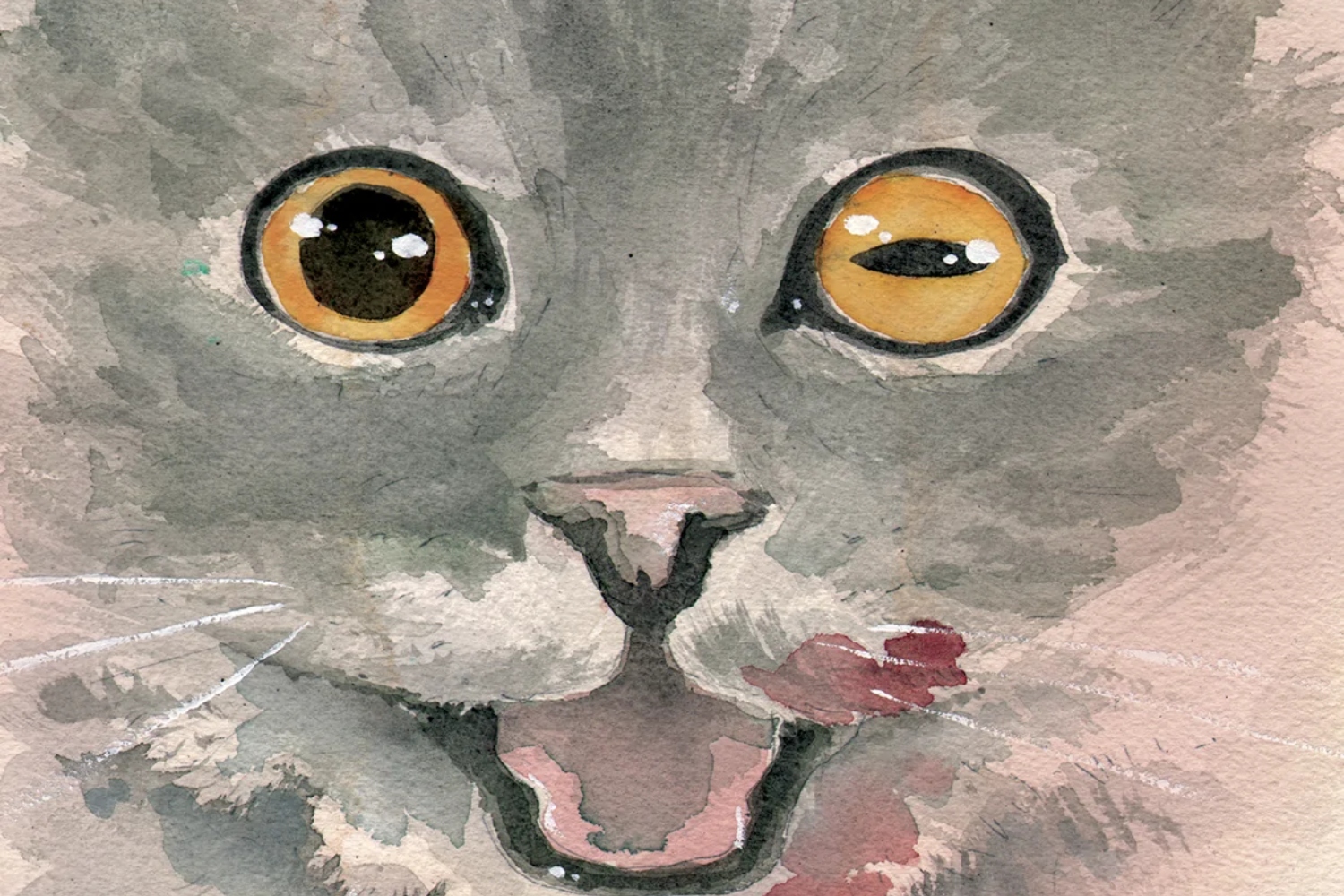 Matt Kindt unleashes a 'Hairball' of cat-themed horror