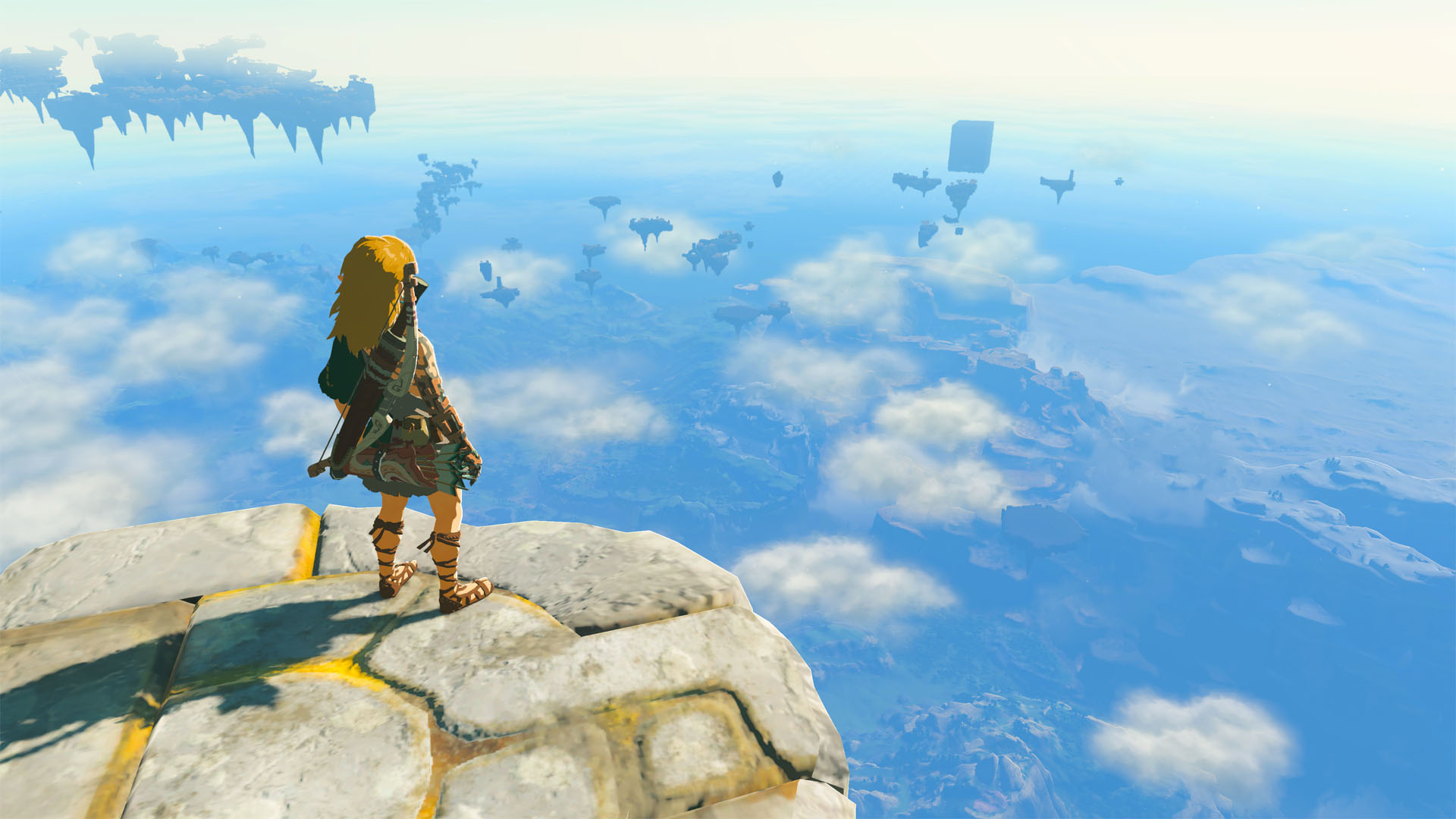 the legend of zelda: tears of the kingdom link with view