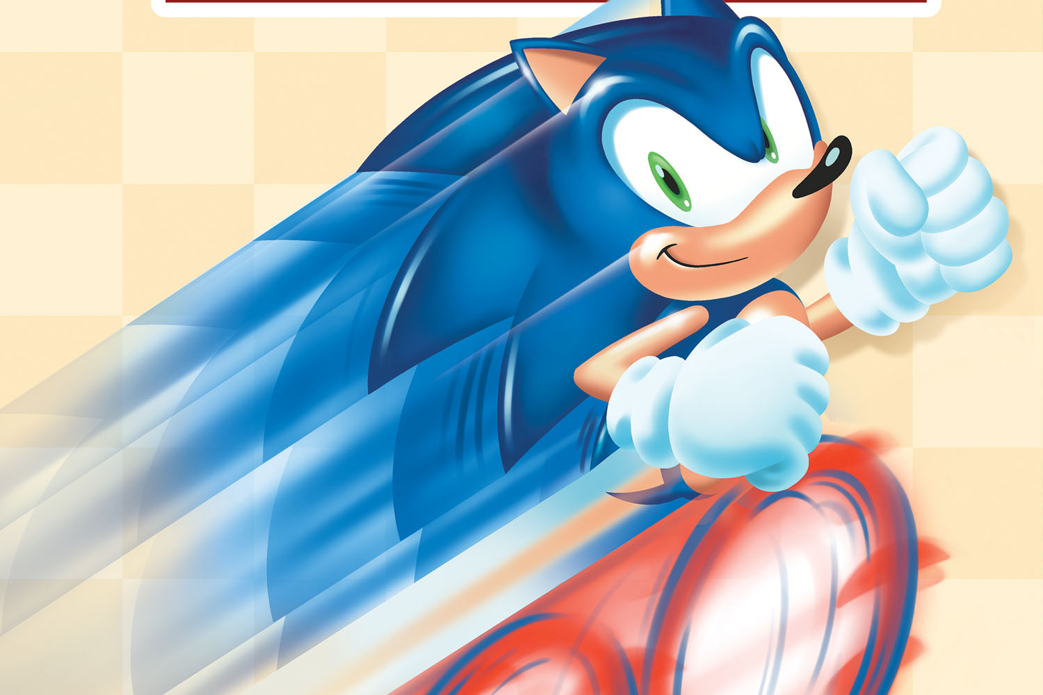 Sonic the Hedgehog's 900th Adventure