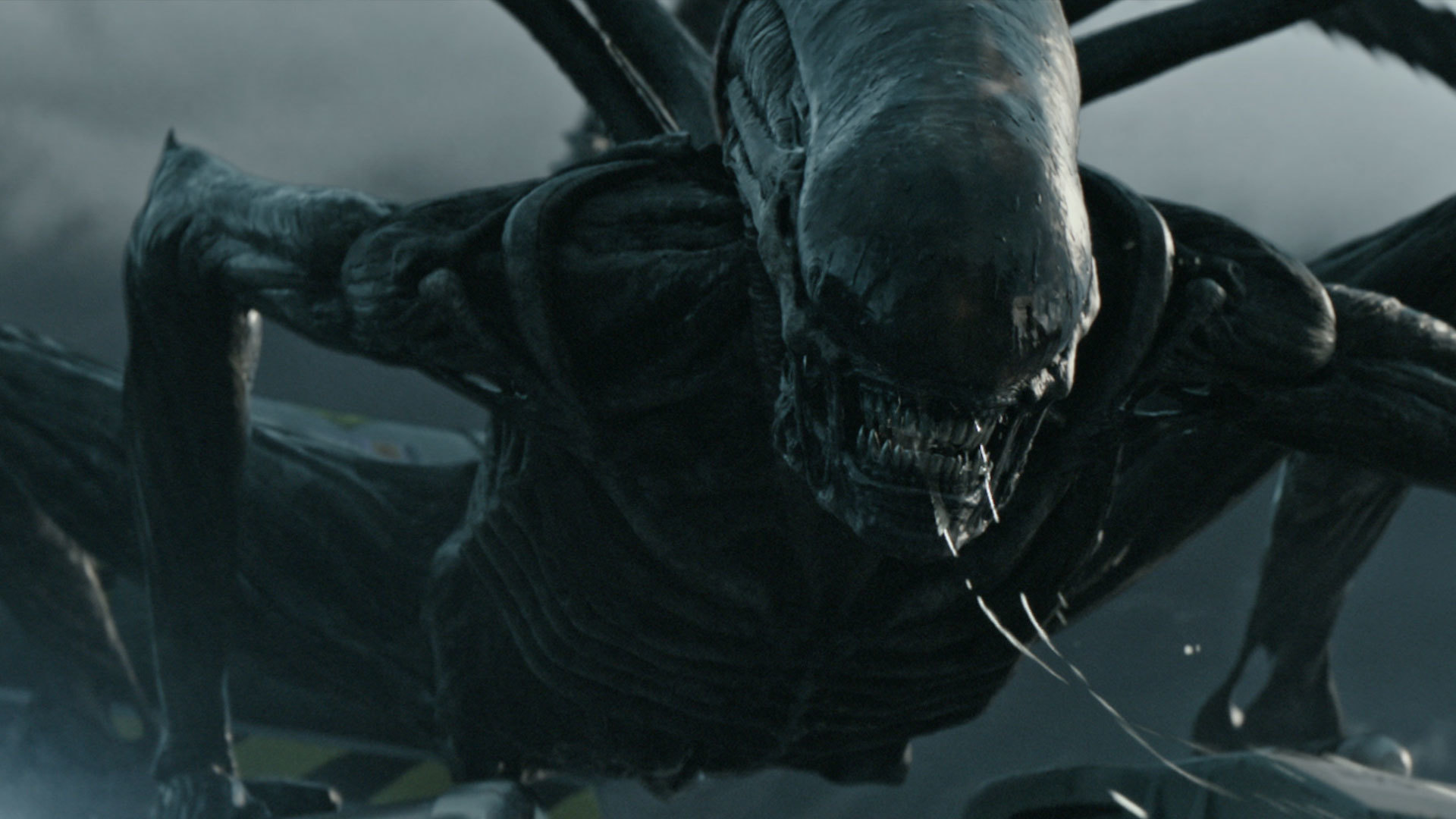 AIPT Movies Podcast episode 71: Xenovember: ‘Alien: Covenant’