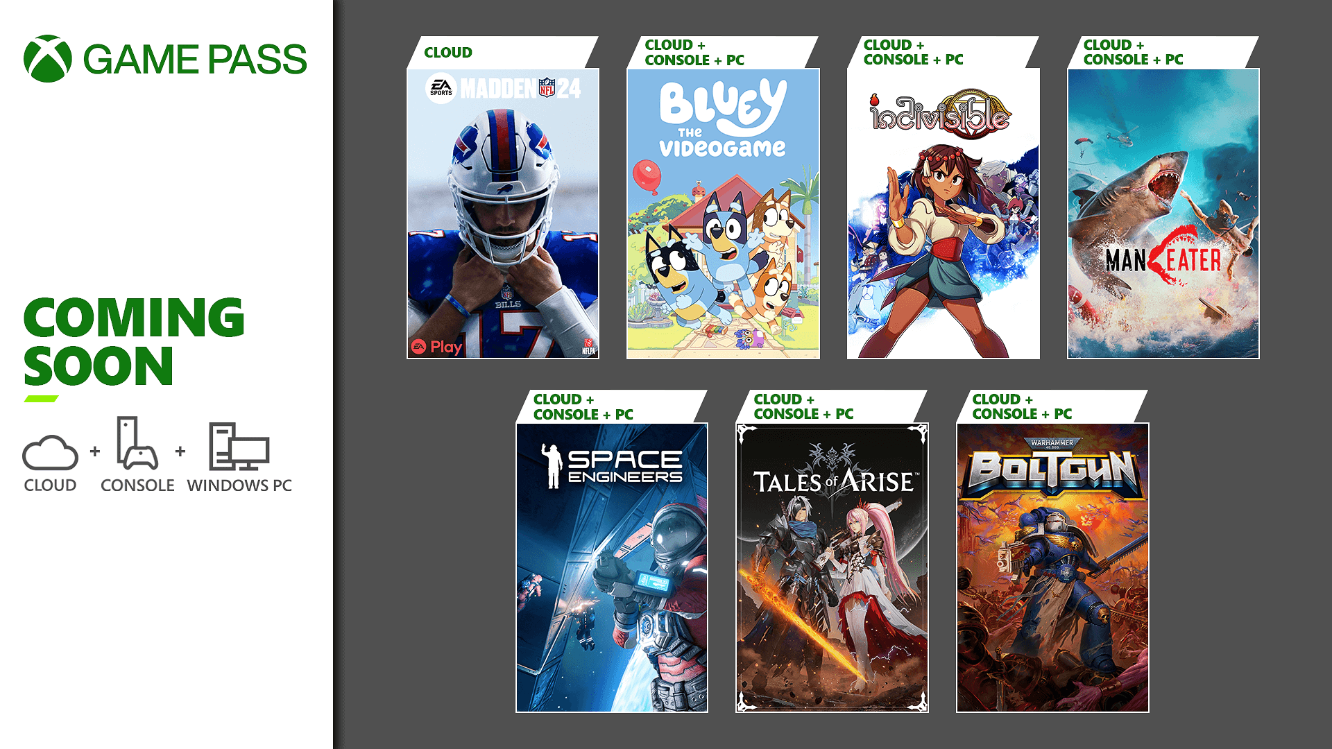 Bluey, Madden, and more coming to Xbox Game Pass in February