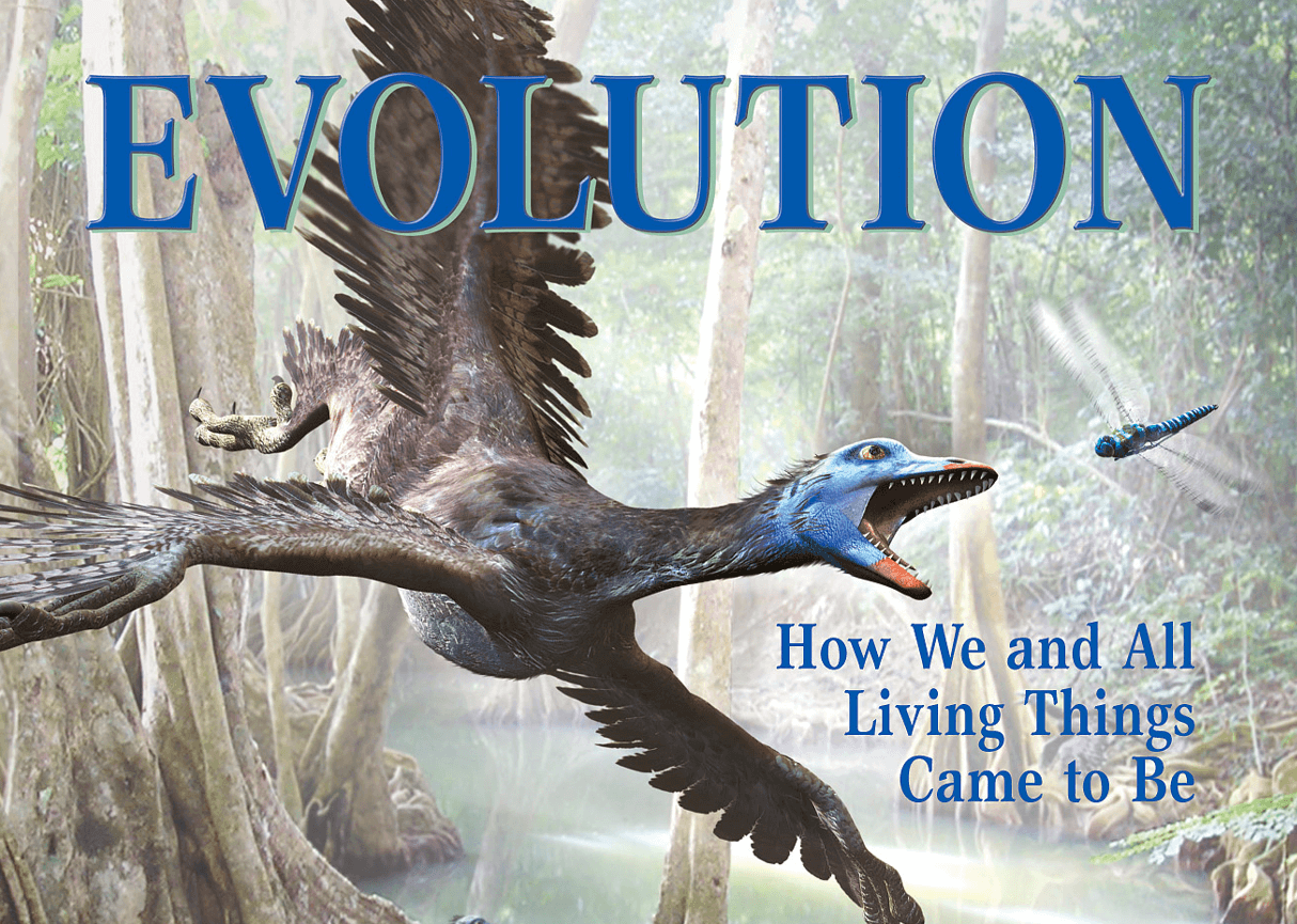 'Evolution' isn't just for adults anymore
