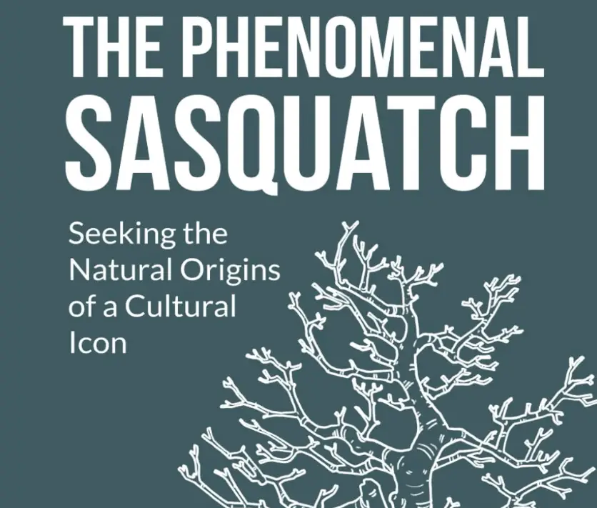 'The Phenomenal Sasquatch' is anything but