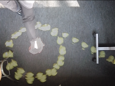 A Stroboscope image of rotation.