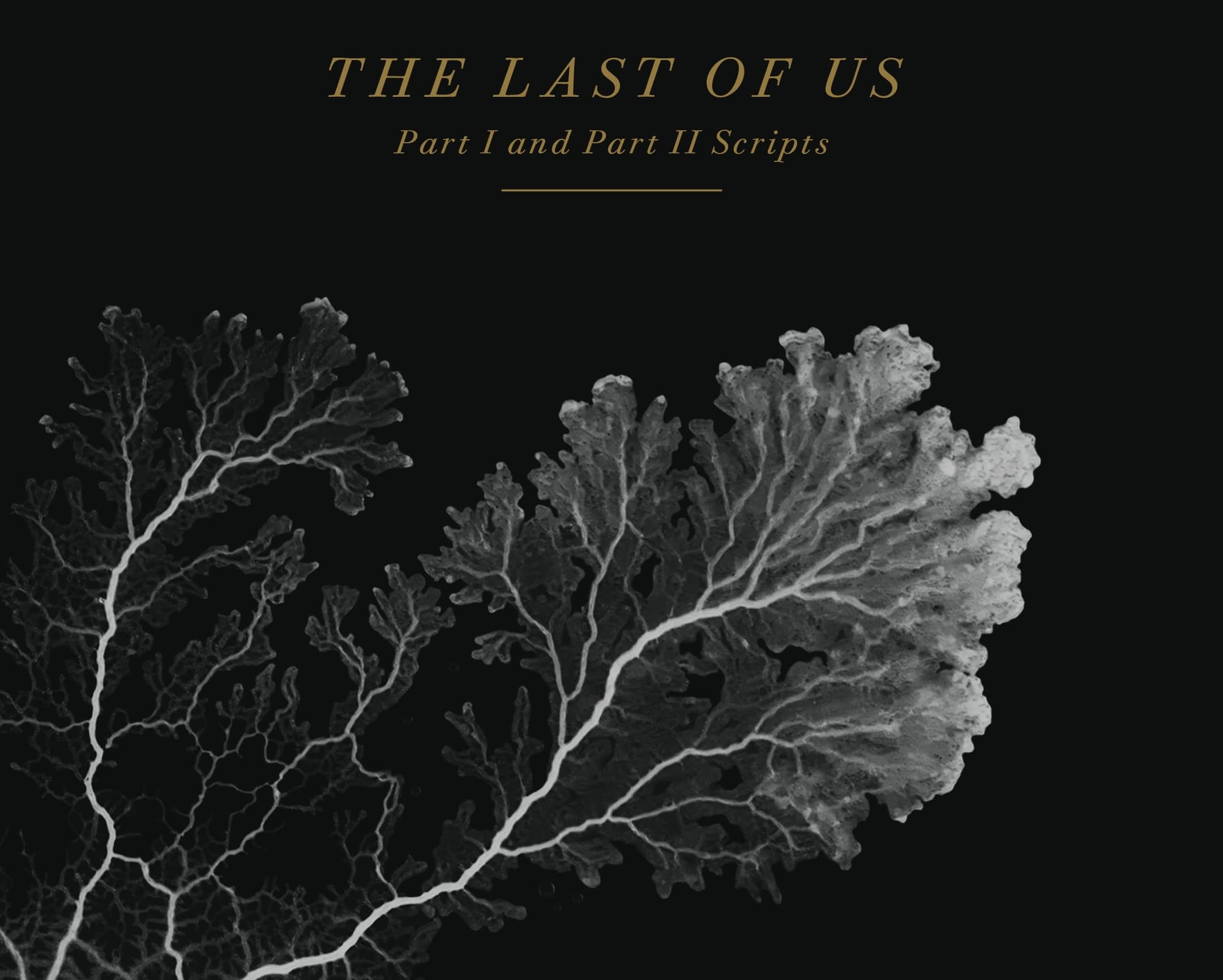 Dark Horse collects 'The Last of Us' scripts in new hardcover out December 2025
