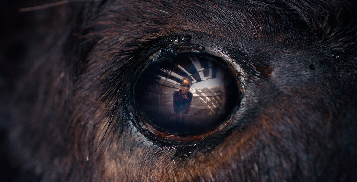 animale