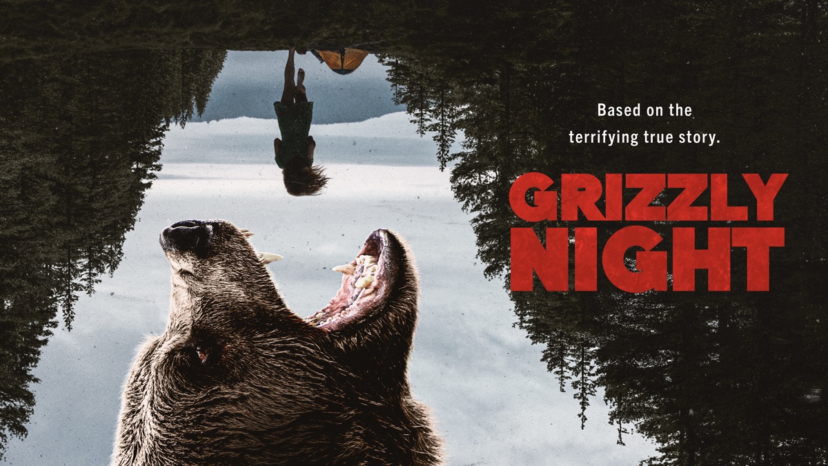 grizzly night