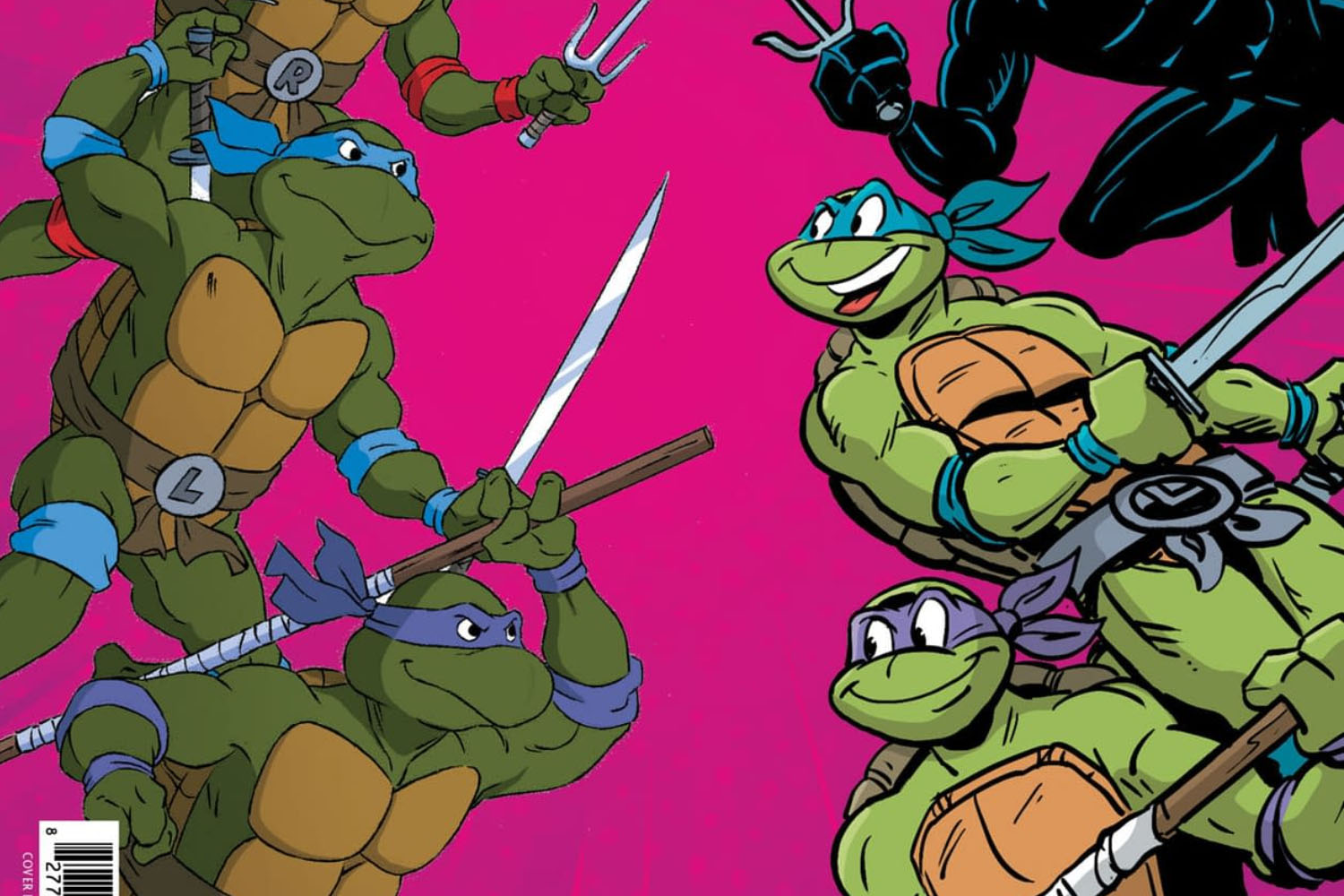 'Teenage Mutant Ninja Turtles: Battle Nexus' #4 just gets it