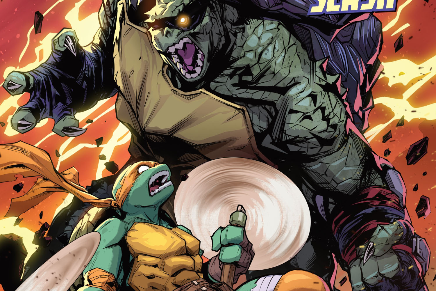 'Teenage Mutant Ninja Turtles: Battle Nexus' #5 review