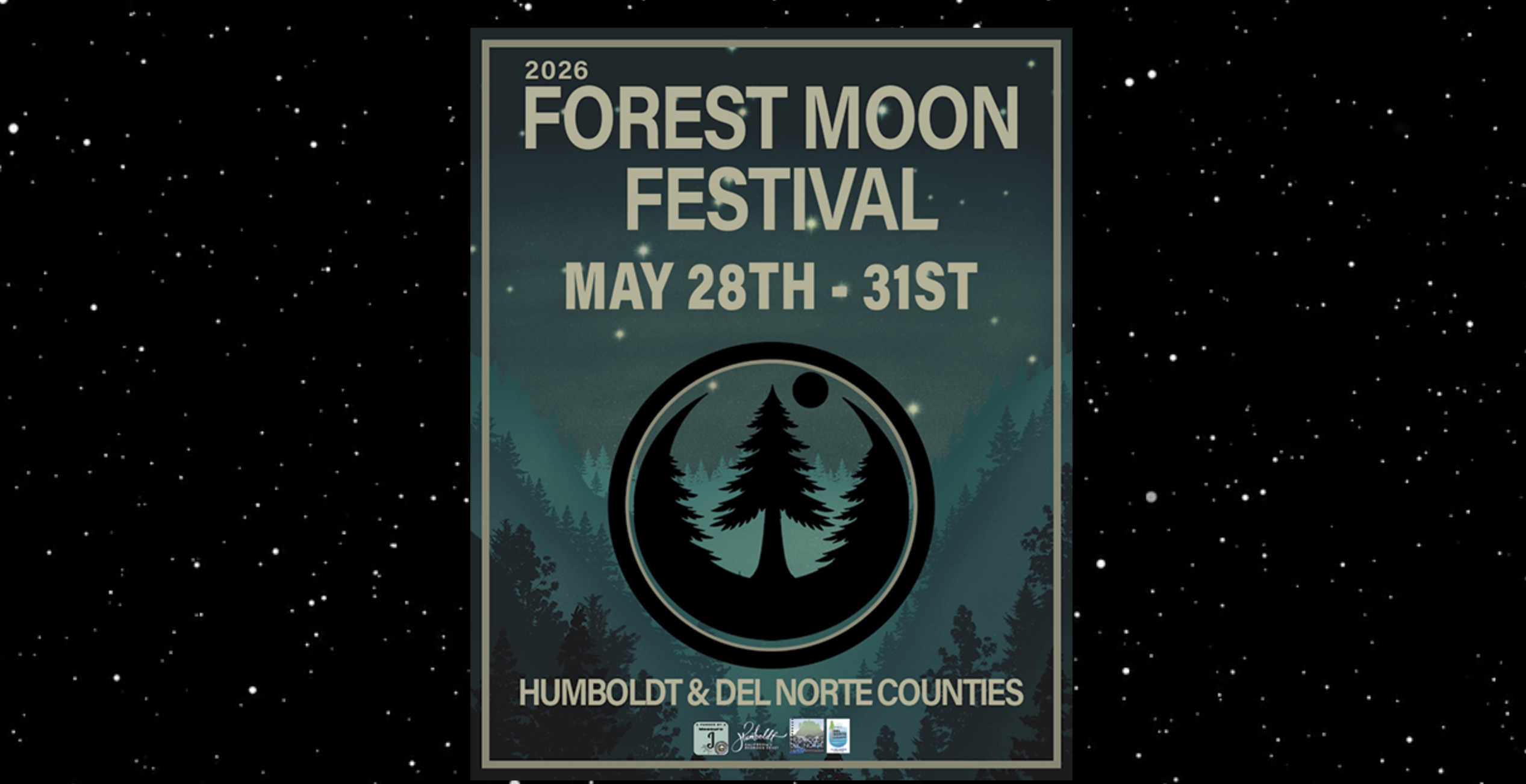 What Forest Moon Festival says about Star Wars today